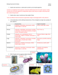 Taxonomy and Virus Review Answer Key File