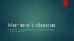 Meniere`s disease ppt