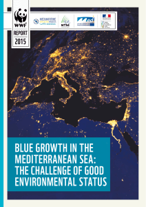 BLUE GROWTH IN THE MEDITERRANEAN SEA