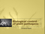 Biological control of plant pathogens