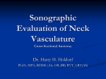 Sonographic Evaluation of Neck Vasculature. Common Carotid, ICA