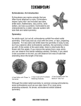 unit on echinoderms - Science