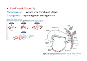 Development of HEART 3-ARTERIES