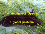 Invasive Species - University of Windsor