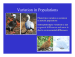 Variation in Populations