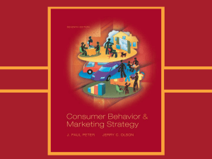 Consumer Behavior and Promotion Strategy