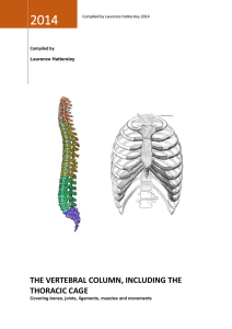 The Vertebral column, including the thoracic cage