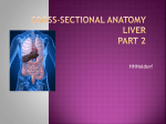cross-sectional-anatomy-liver-part-2