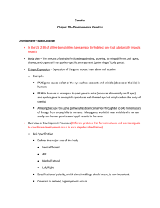 Chapter 10 Genetics