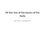 All the rest of the bones of the body