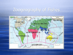 VII. Zoogeography of fishes
