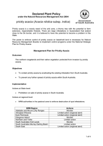 Management Plan for Prickly Acacia