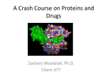 A Crash Course on Enzymology