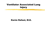 Ventilator Induced Lung Injury