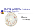 3 Embryology - Orange Coast College