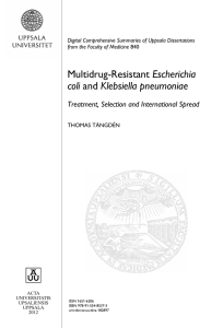 Multidrug-Resistant Escherichia coli and Klebsiella pneumoniae