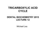 TRICARBOXYLIC ACID CYCLE