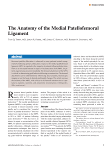 The Anatomy of the Medial Patellofemoral Ligament