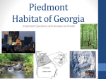 Piedmont Habitat