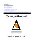 Turning a New Leaf Temperate Deciduous Forest Features of the