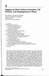 Division, and Morphogenesis in Plants