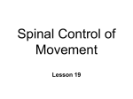 Control of Movement