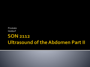 Abdominal Sonography II. Chapter 10 The Prostate