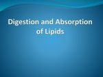 Digestion and Absorption of Lipids