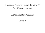 Lineage Commitment During T cell Development