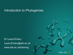 An Introduction to Phylogenetics