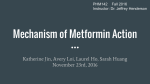 Mechanism of Metformin Action