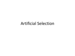 Artificial Selection 1