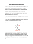 acids and bases in the human body