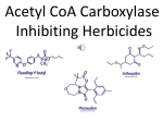Acetyl CoA Carboxylase Inhibiting Herbicides