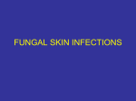 L06 Para Fungal-infections 2015