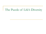 The Puzzle of Life`s Diversity