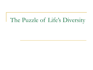The Puzzle of Life`s Diversity
