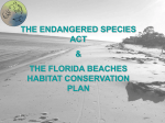 The Endangered Species Act