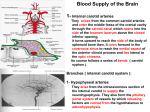 15-Blood supply of brain