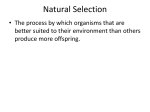 Natural Selection File