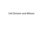 Cell division and Mitosis
