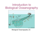 Chapter 10 Biological Productivity in the Ocean