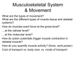 how do action potentials trigger muscle