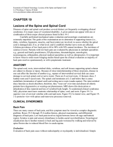 CHAPTER 19 Lesions of the Spine and Spinal Cord