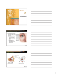 The Special Senses Accessory Structures of the - dr