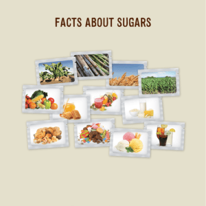 `Facts about sugars` brochure