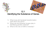 12.1 Identifying the Substance of Genes