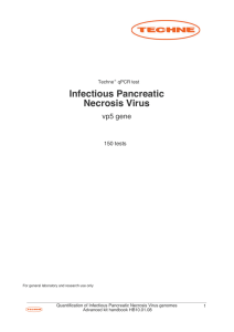 Infectious Pancreatic Necrosis Virus