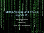 Matrix Algebra (and why it`s important!)