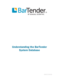 Understanding the BarTender System Database